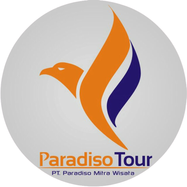Logo Paradiso Tour