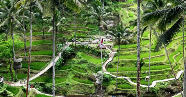 Tempat Wisata Di Ubud Bali