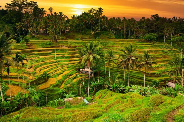 tempat wisata romantis ubud bali