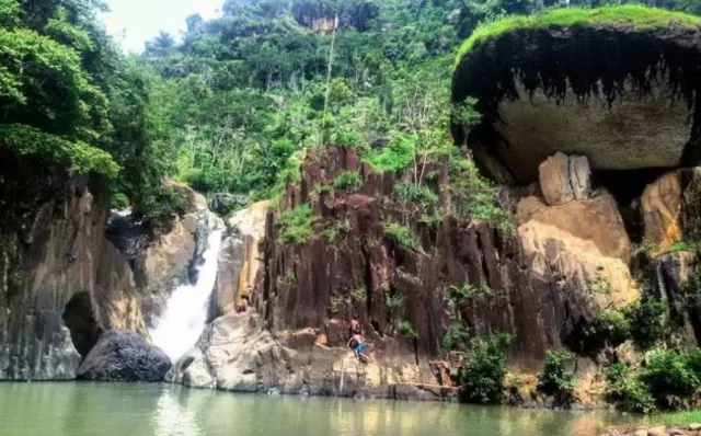 Hutan Kota Jurug