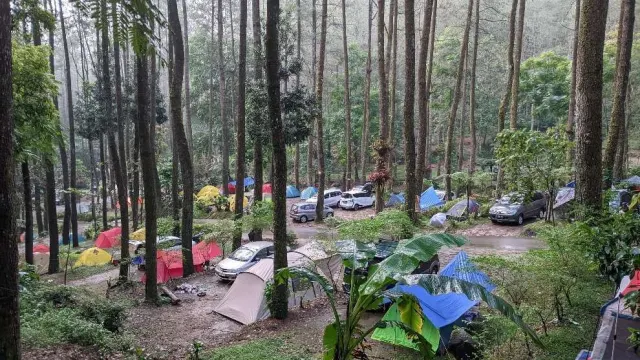 Hutan Pinus Sekipan