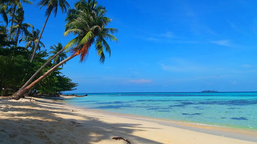 Paket Wisata Karimunjawa 2 hari 1 malam kapal cepat express bahari