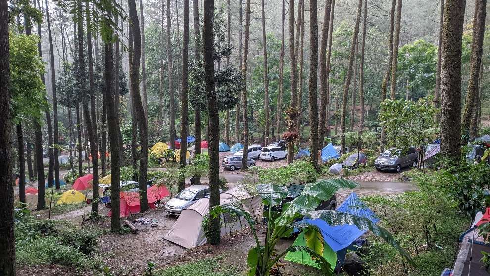 Hutan Pinus Sekipan