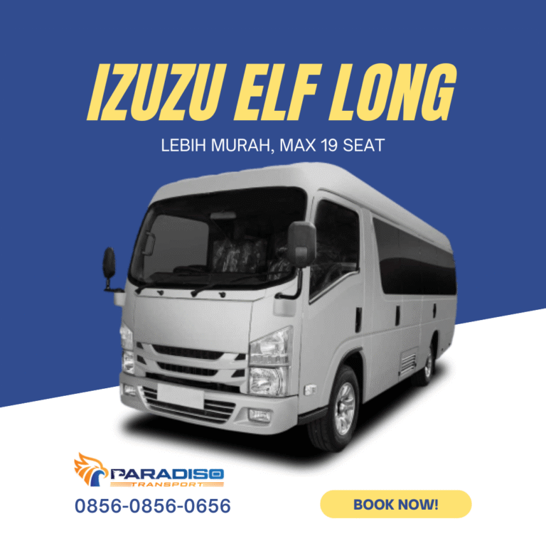 sewa elf long